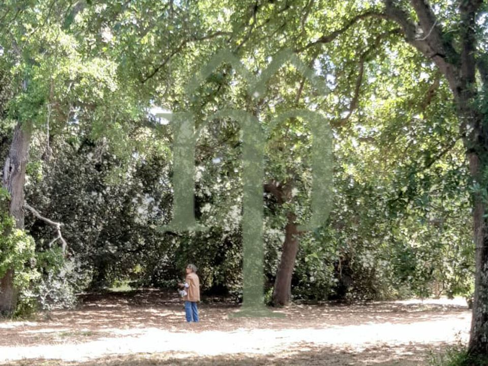 Tomt i Ostuni, Brindisi - bilde 5
